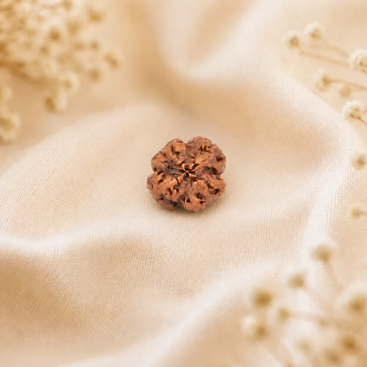 4 Mukhi Rudraksha